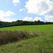 IMG_Norrice20001