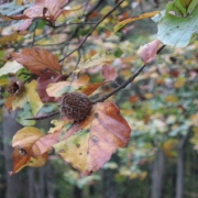 IMG_0001_12