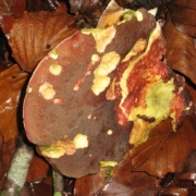 IMG_0001_19
