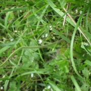 IMG_0001_3