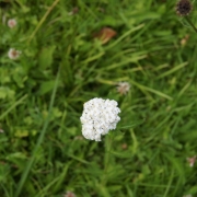 IMG_0001_30