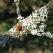 IMG_0001_44