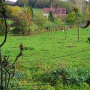 IMG_0001_29
