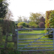 IMG_0001_45