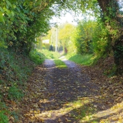 Copy (20) of IMG_0001