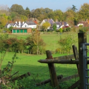 Copy (21) of IMG_0001