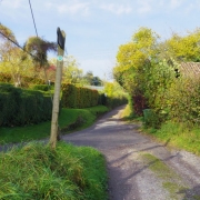 Copy (22) of IMG_0001