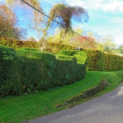 Copy (23) of IMG_0001