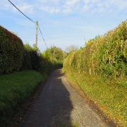 Copy (24) of IMG_0001
