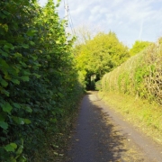 Copy (25) of IMG_0001