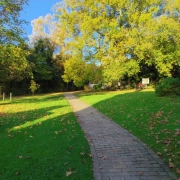 Copy (28) of IMG_0001
