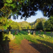 Copy (29) of IMG_0001