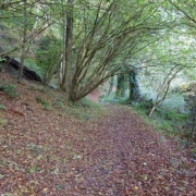 Copy (33) of IMG_0001