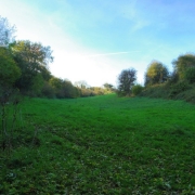 Copy (36) of IMG_0001
