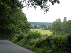 The view to Blackmoor church. 702