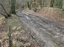 FP67 on a good day. Looking north with Coombe Wood on the right and Wick Wood on the left. 689