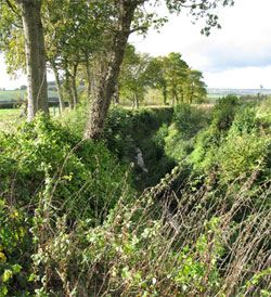 The sunken lane, recently cleared of scrub, is a footpath on the east side of the road, but only partly accessible in the sunken area.  (FP22 to Hartley Maudit, and FP24 to Wick Hill). 281