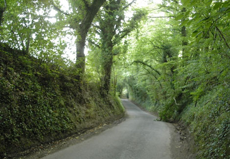 Honey Lane climbs away out of the village towards Blackmoor and Oakhanger. 733