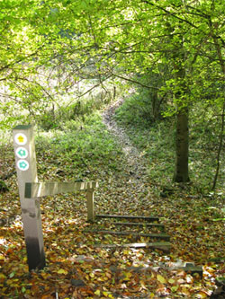 The recently restored path off the Short Lythe across Dortons. 231