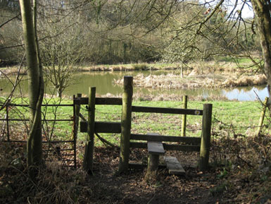 The entrance to Wick Wood from Great Mead on the south side. 686